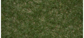 NOCH 07084 Herbe de champs, vert moyen